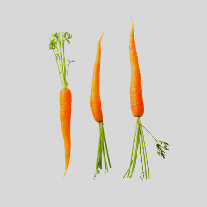 kaninchenfutter bubblenavibanner